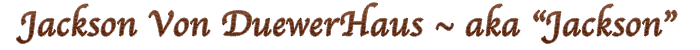Quido title